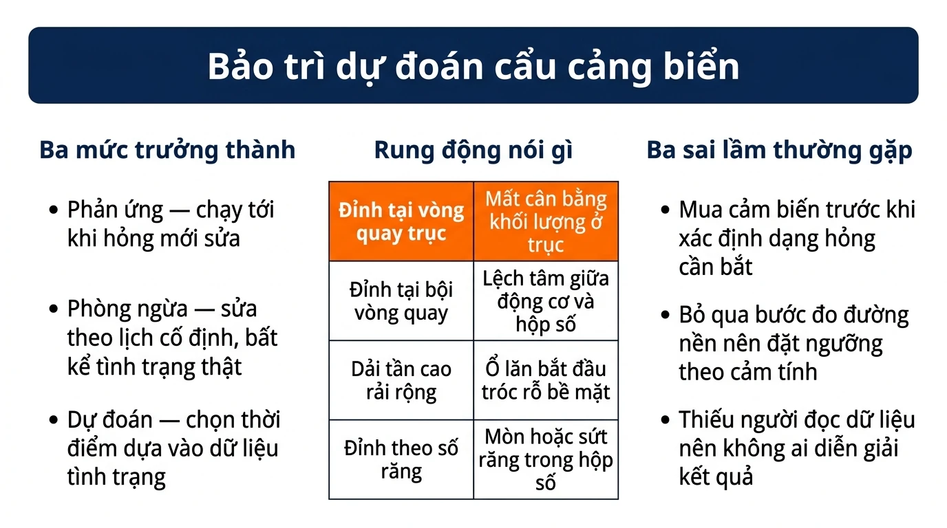 Infographic bảo trì dự đoán cẩu cảng biển: ba mức trưởng thành và bảng dấu hiệu rung động ứng với dạng hỏng