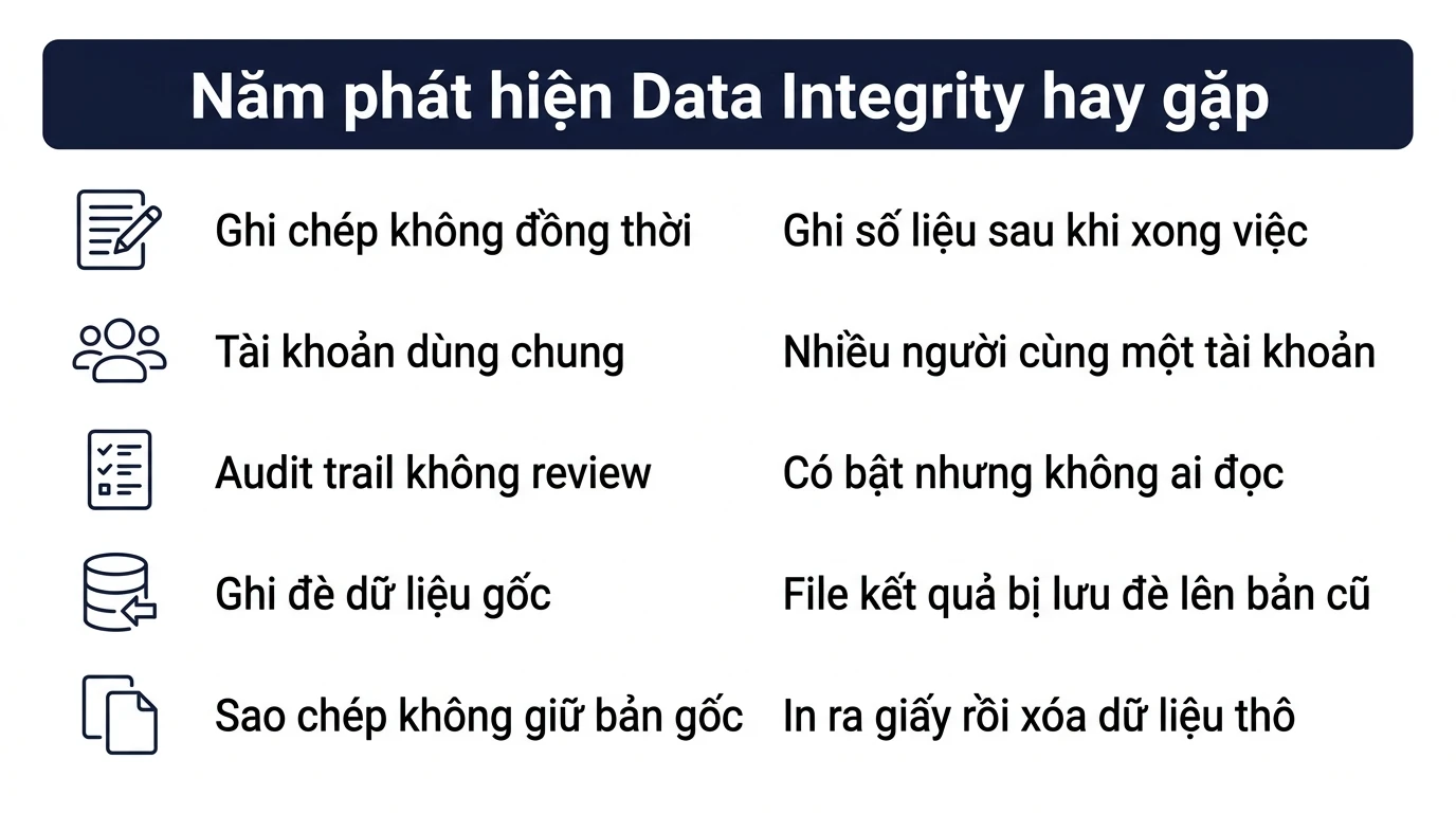 Infographic năm dạng phát hiện Data Integrity hay gặp khi thanh tra GMP và biểu hiện thực tế